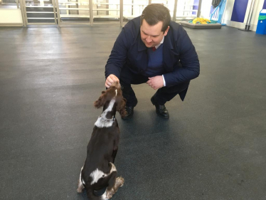 Louie French visit to Battersea Dogs